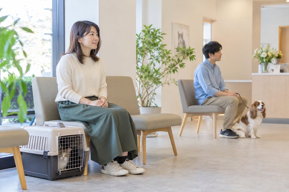診察前に落ち着いて待てる動物病院の撮影見本(AI生成)