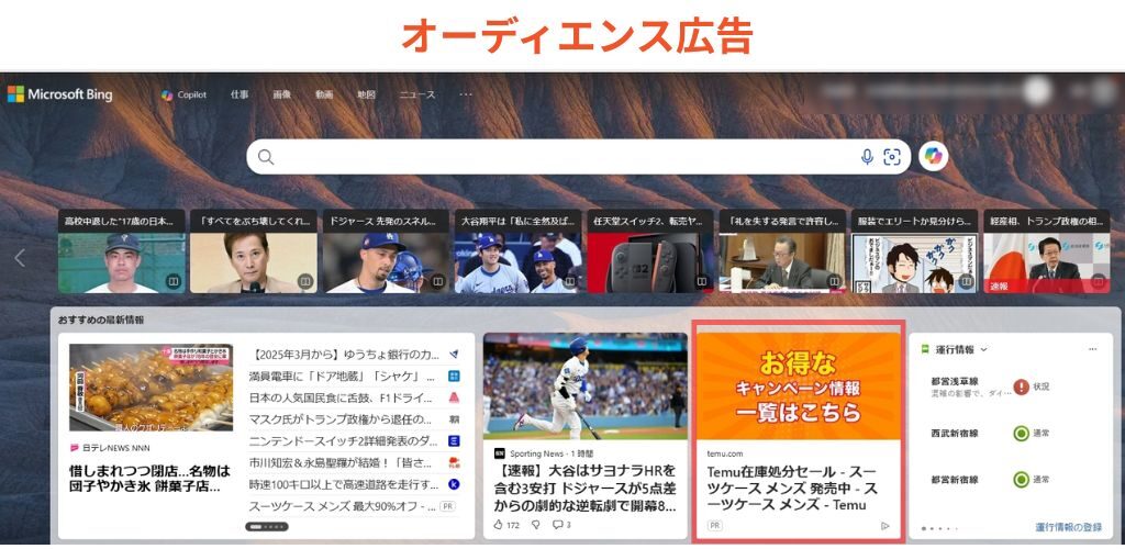 MSN上のオーディエンス広告