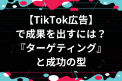 TikTok広告で成果を出すには？ターゲティングと成功の型